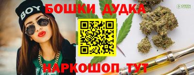 крисы Обь