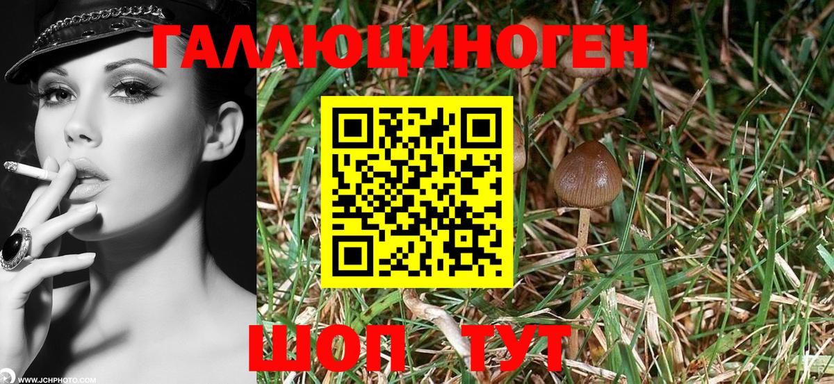 Галлюциногенные грибы ЛСД  Вход с VPN  Тайшет  Галлюциногенные грибы мицелий 