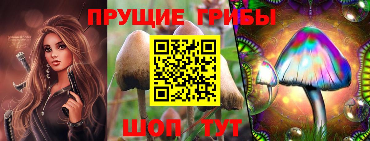 Галлюциногенные грибы мухоморы Тайшет